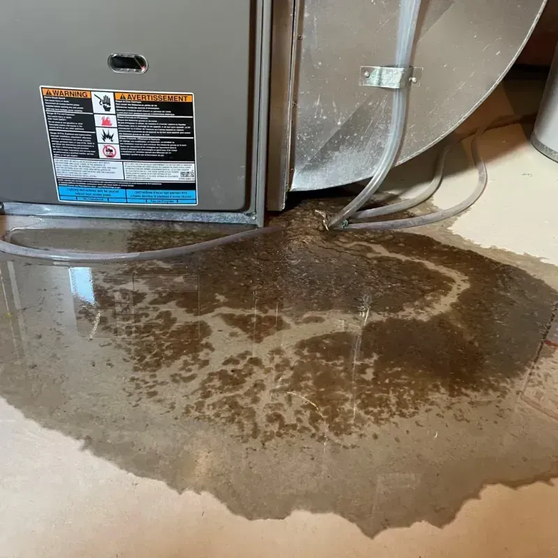 Appliance Leak Cleanup in Socorro, NM